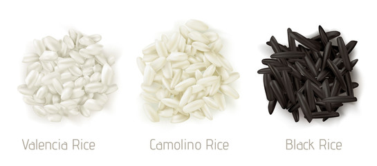 Rice valencia, camolino and wild grain piles top view isolated on white background. Vegetarian organic raw food, different cereals types for paella and healthy eating, realistic 3d vector icon