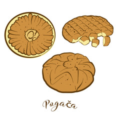 Colored drawing of Pogača bread