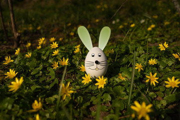 Ostern Hase.
