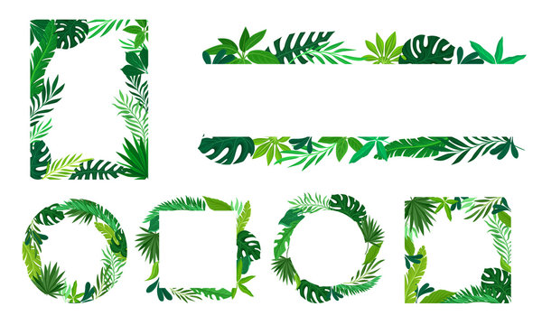 Tropical Leaves and Branches in Shaped Frames and Borders Vector Set