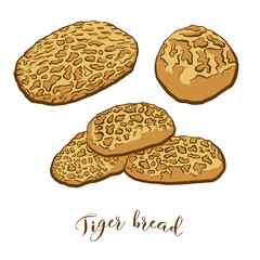Colored drawing of Tiger bread bread