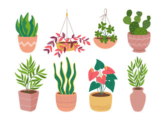 House plants colorful collection