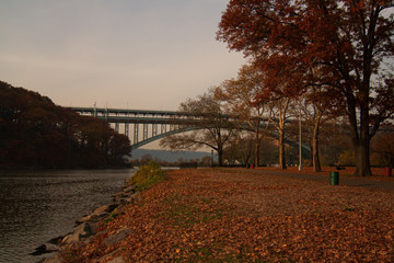 autumn park with walk and trees at sunset