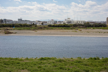 Fototapeta premium 川辺の風景