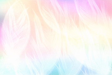 multicolored background with feathers