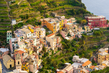 Fototapeta na wymiar Detail of the curious little town of Manarola, one of the five lands in Liguria, Italy. A small pretty village full of colorfull houses