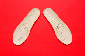 Pair of orthopedic insoles with names of human organs written on it on a red background.