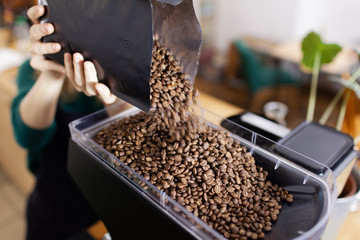 Puring coffee beans to coffe machine inside the bright cafeteria  - obrazy, fototapety, plakaty