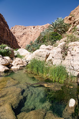 Hike through narrow valley of Wadi Shab in Tiwi near Mascat in Oman