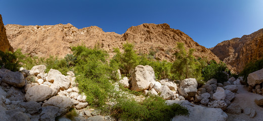 Hike through narrow valley of Wadi Shab in Tiwi near Mascat in Oman