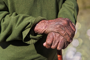 Old man's hands holding a cane