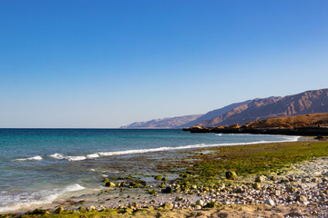 At the Fins beach at Shab near Mascat in Oman