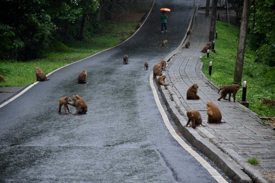Phuket