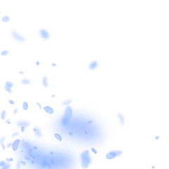 Dark blue flower petals falling down. Alluring rom