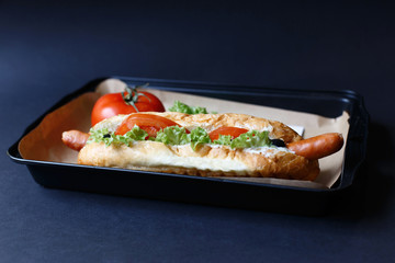 Close up of hot dog. Fast food.
