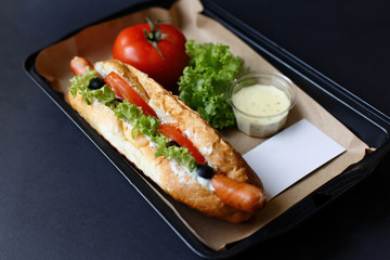 Close up of hot dog. Fast food.