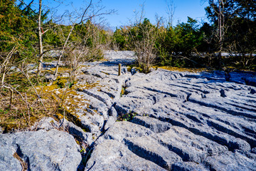 Limestone pavement Beetham Cumbria part of the Beetham trail
