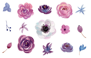 Watercolor set of illustration of flowers, for wedding cards, romantic prints, fabrics, textiles and scrapbooking.