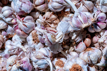 lots of garlic shown together