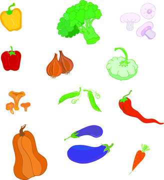 Set of vector images hand drawing various vegetables mushrooms, peas, onions, Bulgarian and hot peppers, eggplant, carrots, pumpkin, squash, broccoli