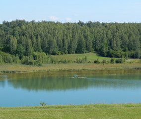 Лесное озеро