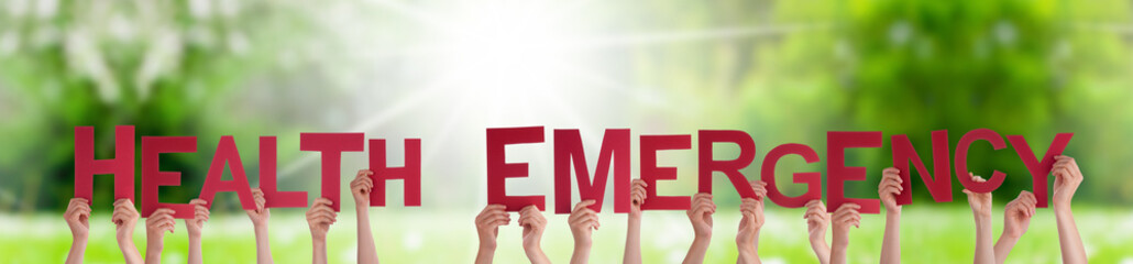 People Hands Holding Colorful English Word Health Emergency. Sunny Green Grass Meadow As Background