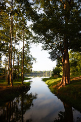 campagne cambodgienne 