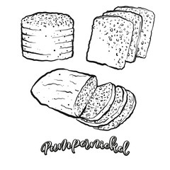 Pumpernickel food sketch separated on white