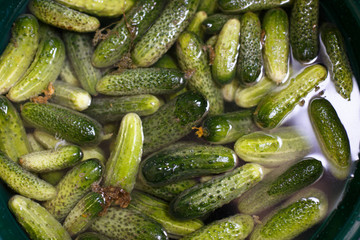 Cucumbers in water