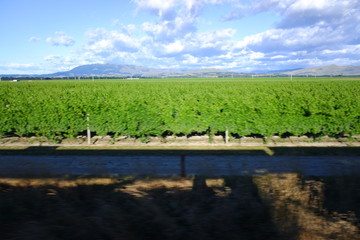 コースタル・パシフィック号　Coastal Pacific Train