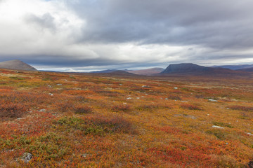 View to Sarek National Park in autumn, Sweden, selective focus