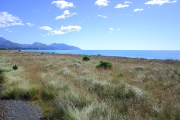 コースタル・パシフィック号　Coastal Pacific Train