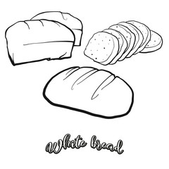 White bread food sketch separated on white