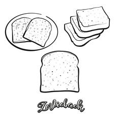 Zwieback food sketch separated on white