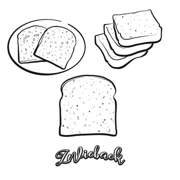 Zwieback food sketch separated on white