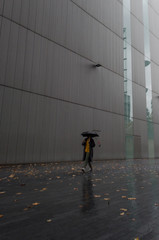 A man with umbrella walking while it rains and the leaves of the trees have fallen to the ground