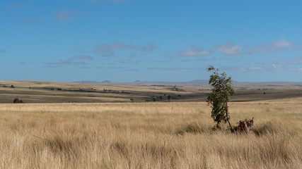 Ankily, Madagascar - 06 juni 2019