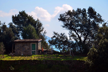 Old house on the farm - Cinque Terre,  Italy