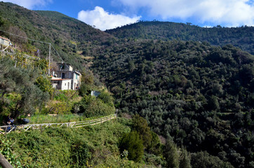 Fototapeta premium Mountain house - Cinque Terre, Italy