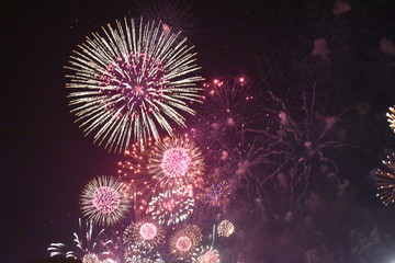 fireworks in the sky, holiday