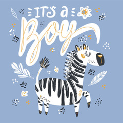 Its a boy lettering hand drawn illustration. White calligraphy on blue background. Gender reveal party vector greeting card. Cute baby zebra postcard. Baby shower, arrival celebration