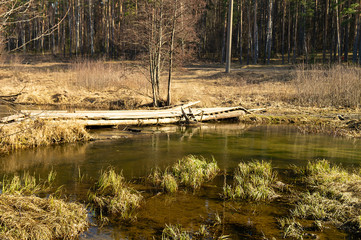 Spring landscape with wooden footbridge through stream
