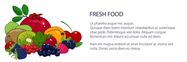 Banner with juicy summer berries and fruits , natural organic and healthy food concept, fresh eco fruits, vector illustration