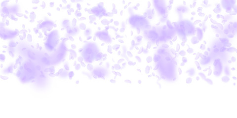 Obraz na płótnie Canvas Violet flower petals falling down. Artistic romant