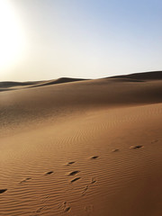Dubai_Desert_dune_sunset