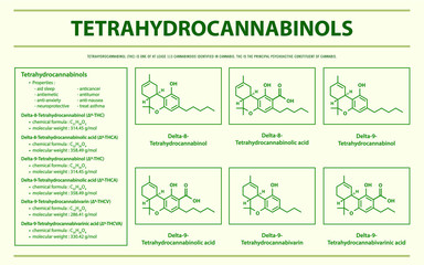 Tetrahydrocannabinol THC with Structural Formulas in Cannabis horizontal infographic illustration about cannabis as herbal alternative medicine and chemical therapy, healthcare and medical vector.