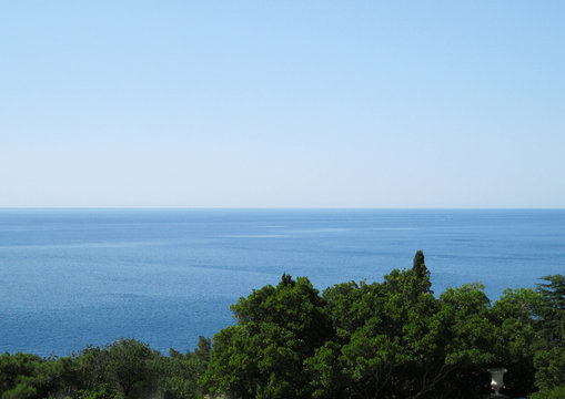 Beutiful landscape - green trees on the coast of sea.