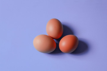 Imagen de huevos marrones de gallina ecológicos sobre fondo violeta