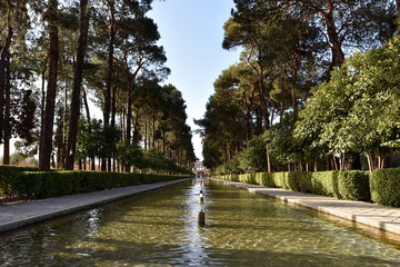 Jardin en iran 