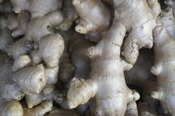 Ginger harvest close up for patterns.